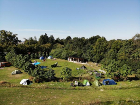 Camping @ Nogometni golf Ljubljana